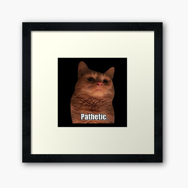 HQ Pathetic Cat Meme Cursed Face | Poster