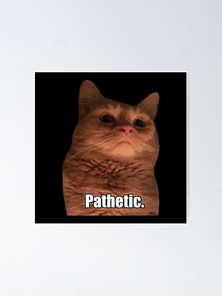 HQ Pathetic Cat Meme Cursed Face | Poster