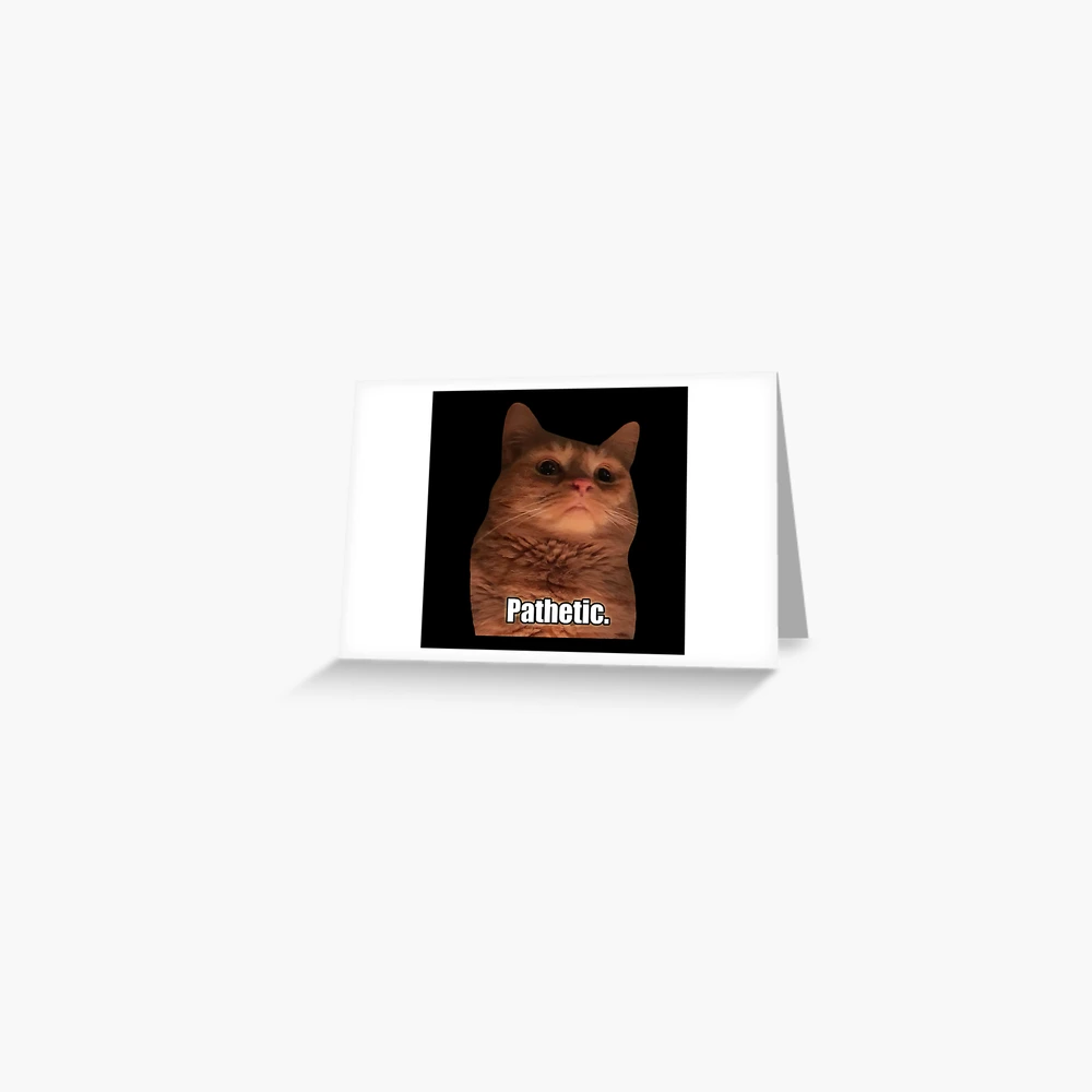 HQ Pathetic Cat Meme Cursed Face | Poster