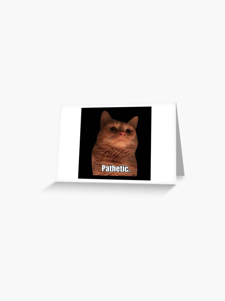HQ Sad Crying Cat Standing Up Meme Photographic Print for Sale by  fomodesigns