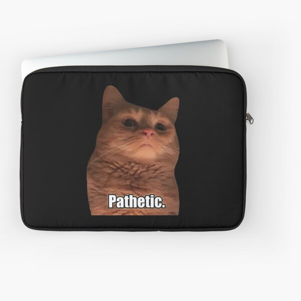 HQ Pathetic Cat Meme Cursed Face | Poster