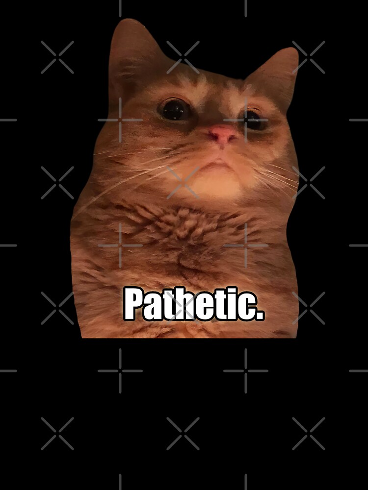HQ Pathetic Cat Meme Cursed Face | Poster