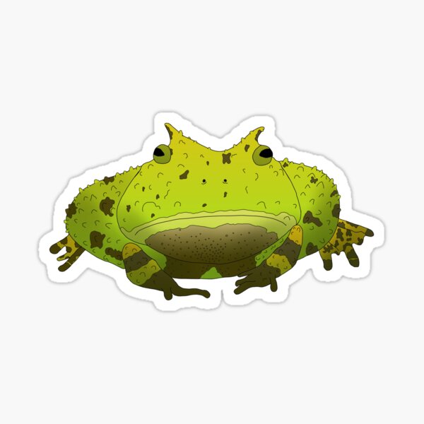 Item preview, Amazon Horned Frog, unimpressed frog designed and sold by Chrysalid Creations.