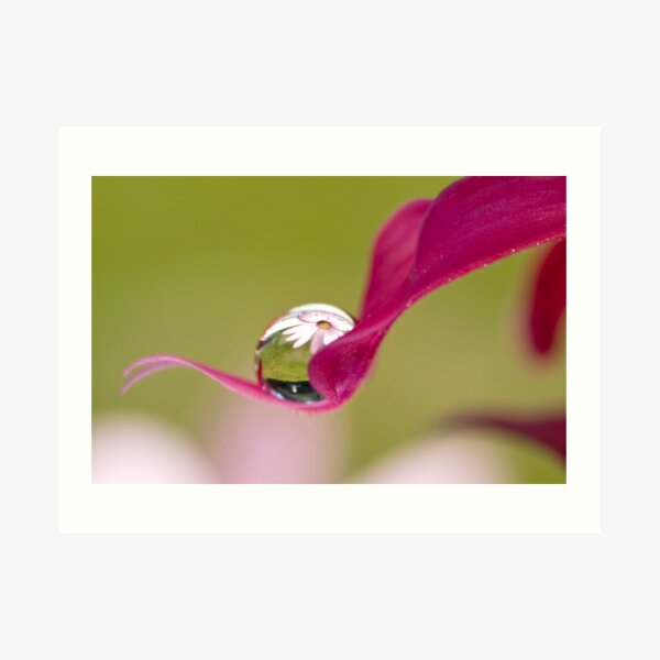 Perfectly Poised Art Print
