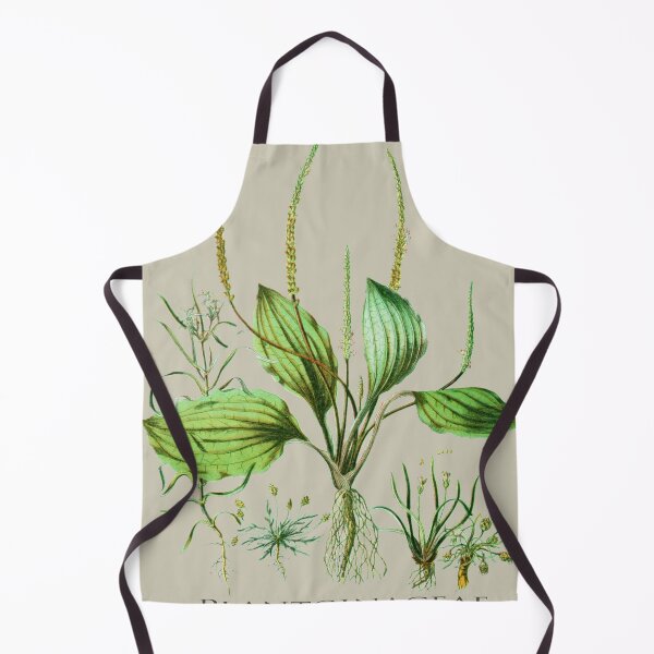 Item preview, Plantaginaceae designed and sold by Asok Mukhopadhyay.