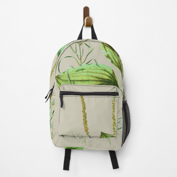Item preview, Plantaginaceae designed and sold by Asok Mukhopadhyay.