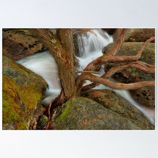 Item preview, Tree, rock, water, Mt. Buffalo designed and sold by Kevin McGennan.