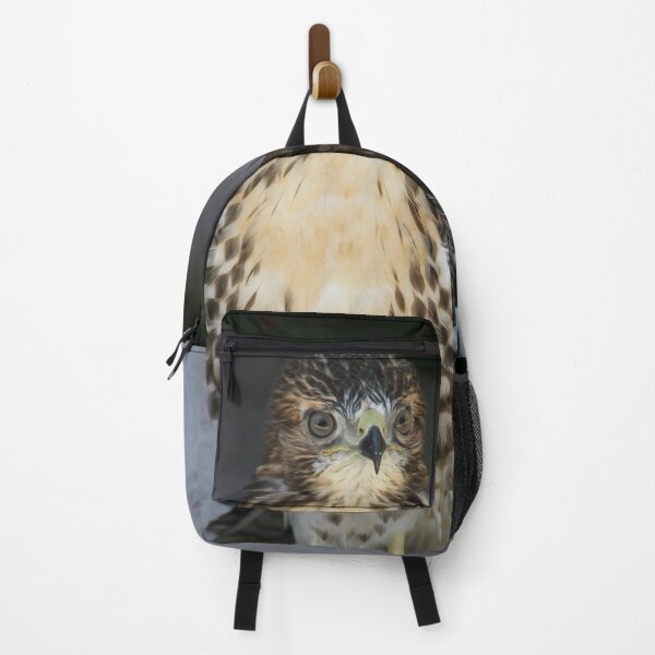 Item preview, Broad Winged Hawk 2 designed and sold by heatherfriedman.