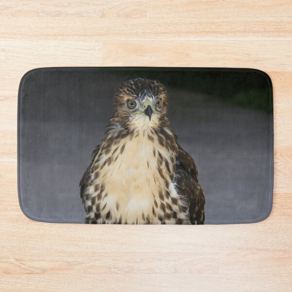 Item preview, Broad Winged Hawk 2  designed and sold by heatherfriedman.