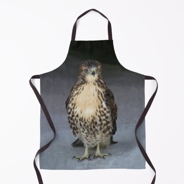 Item preview, Broad Winged Hawk 2 designed and sold by heatherfriedman.