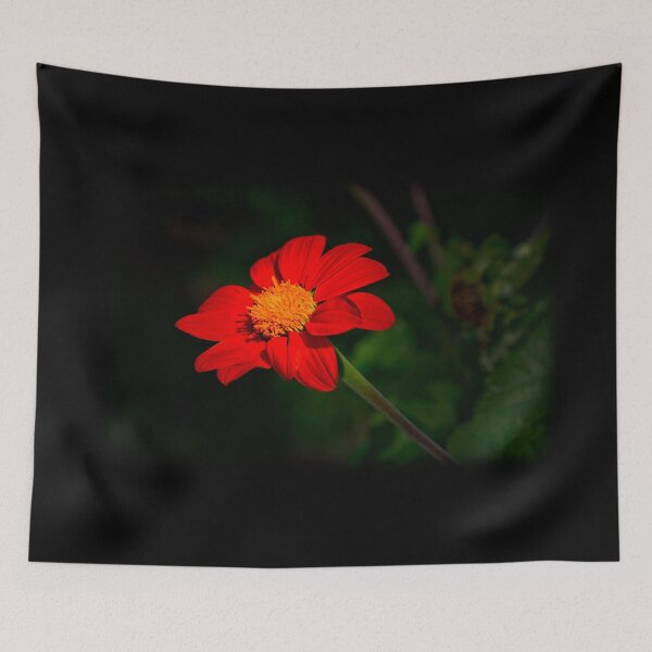 Item preview, A Quimbaya Cornflower designed and sold by alabca.