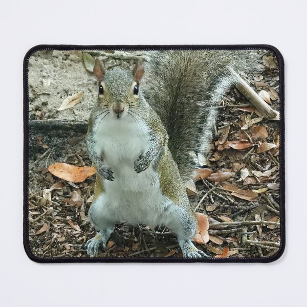 Item preview, Cute Squirrel #0016 designed and sold by Jeffrey Mask.