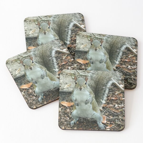 Item preview, Cute Squirrel #0016 designed and sold by Jeffrey Mask.
