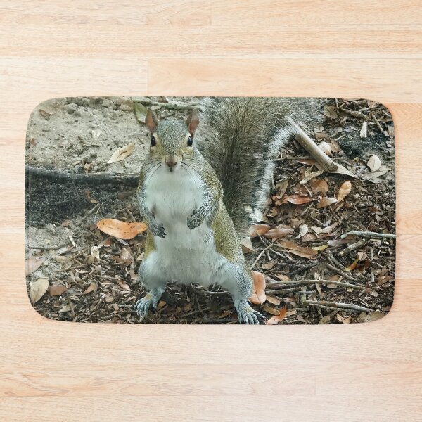 Item preview, Cute Squirrel #0016 designed and sold by Jeffrey Mask.