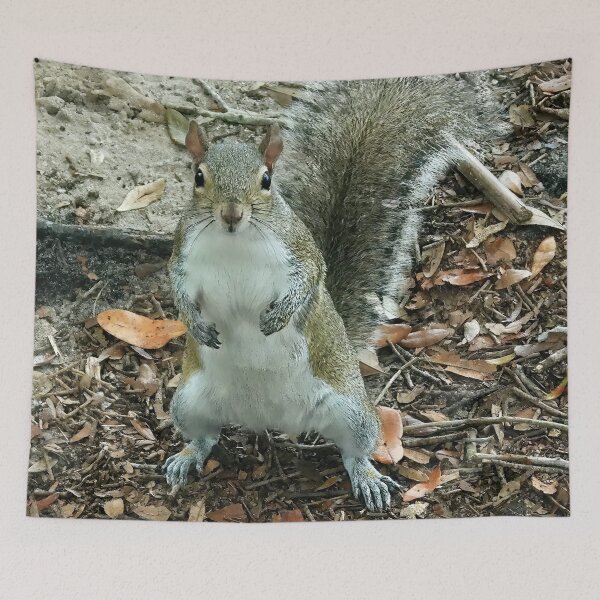 Item preview, Cute Squirrel #0016 designed and sold by Jeffrey Mask.