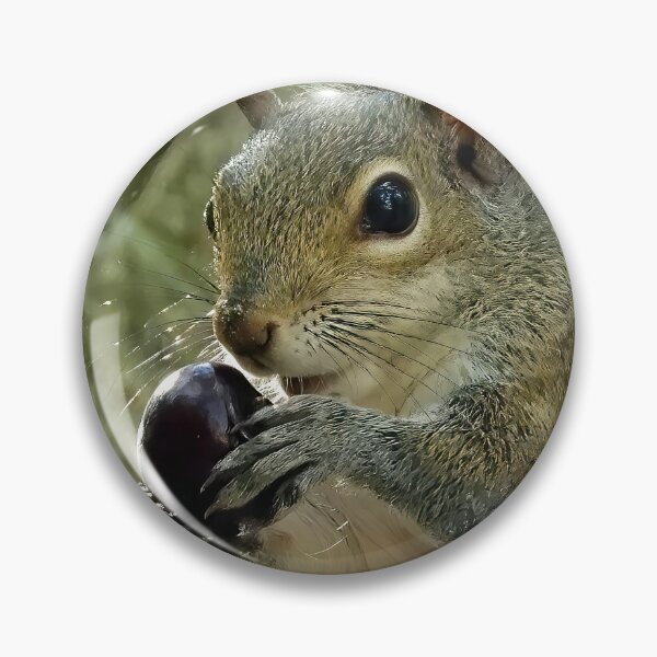 Item preview, Cute Squirrel #0018 designed and sold by Jeffrey Mask.