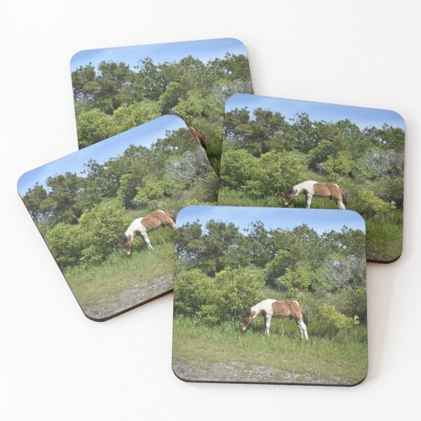 Item preview, Baby Assateague pony designed and sold by Alexis Emerson.