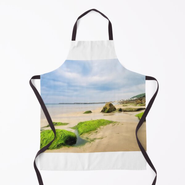 Item preview, Algae Covered Rocks - Lyme Regis Dorset designed and sold by Dorset Girl.