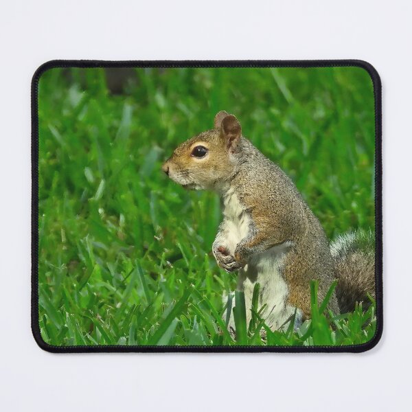 Item preview, Cute Squirrel #0019 designed and sold by Jeffrey Mask.