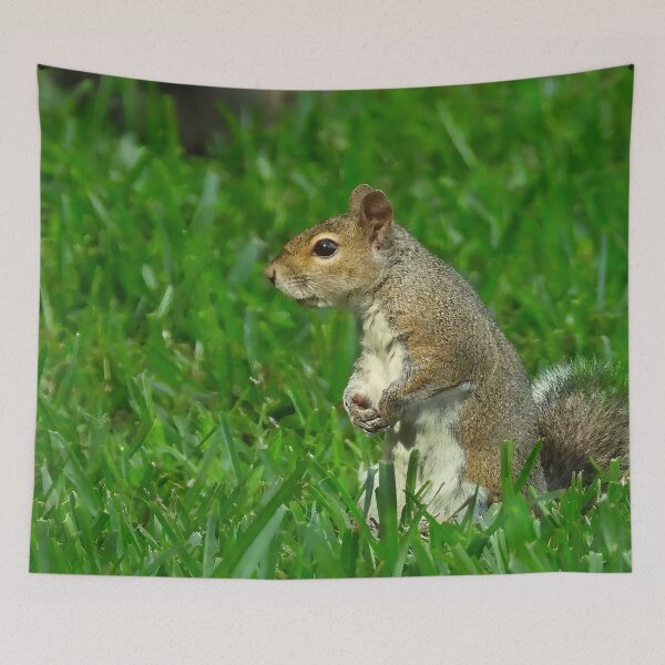 Item preview, Cute Squirrel #0019 designed and sold by Jeffrey Mask.