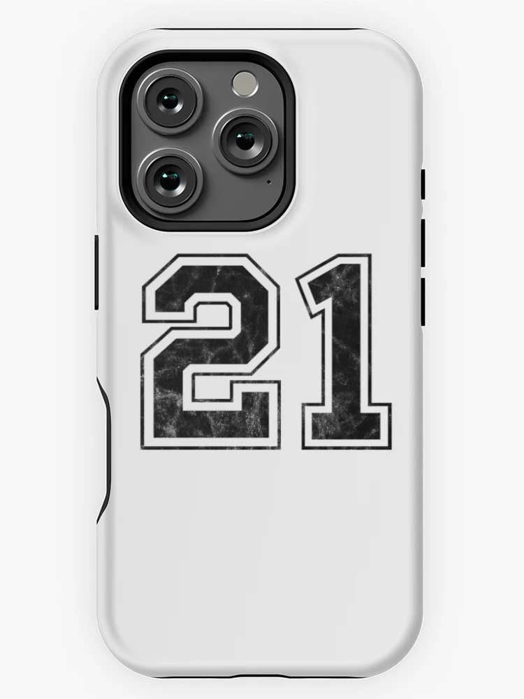 icr,iphone_16_pro_tough,back,a