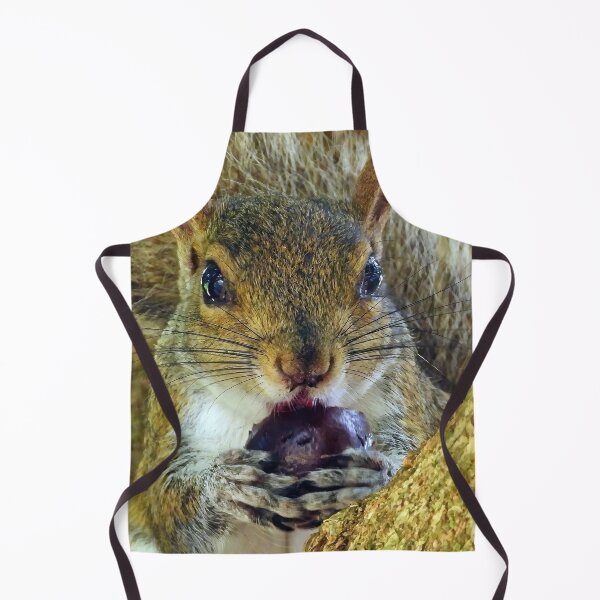 Item preview, Cute Squirrel #0020 designed and sold by Jeffrey Mask.