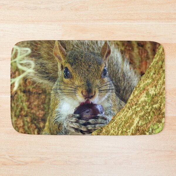 Item preview, Cute Squirrel #0020 designed and sold by Jeffrey Mask.
