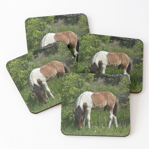 Item preview, Baby Assateague pony designed and sold by Alexis Emerson.