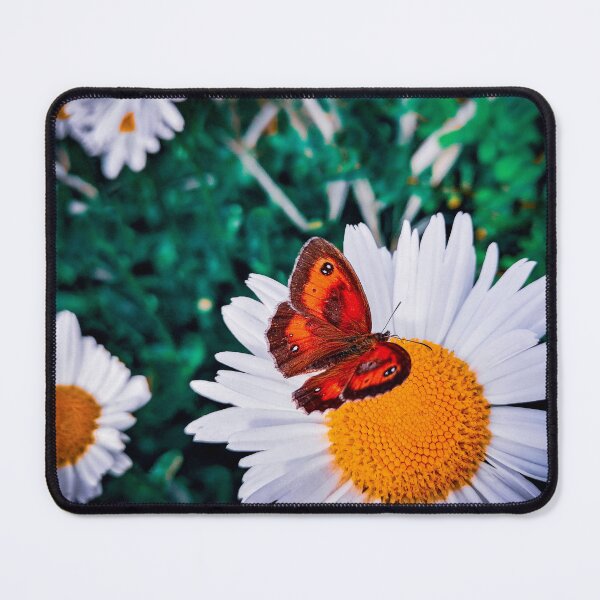 Item preview, Butterfly on Large Daisy Flower designed and sold by QuarterMoon.