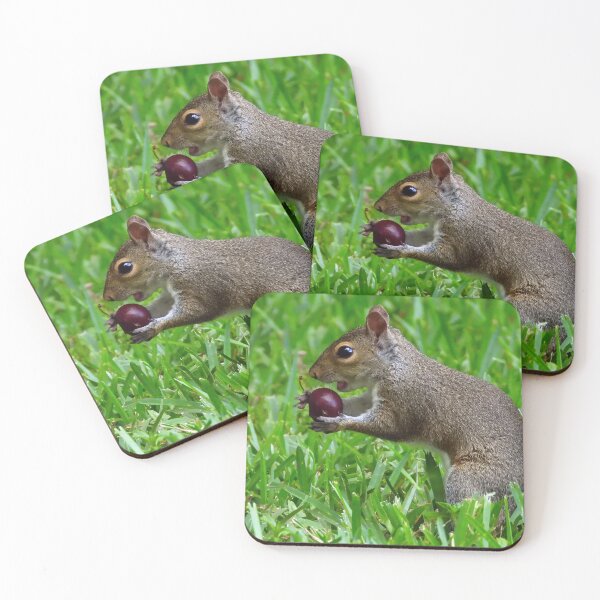 Item preview, Cute Squirrel #0021 designed and sold by Jeffrey Mask.