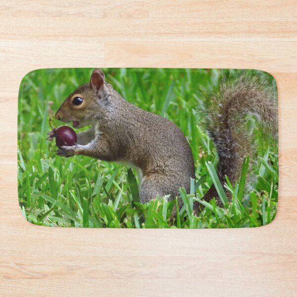 Item preview, Cute Squirrel #0021 designed and sold by Jeffrey Mask.