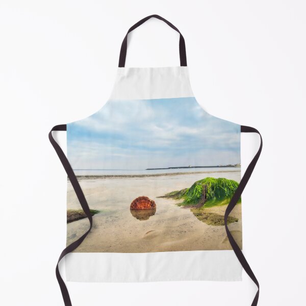Item preview, Scallop shell against algae-covered rocks - Lyme Regis designed and sold by Dorset Girl.