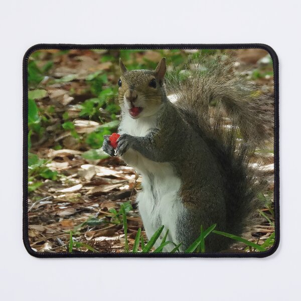 Item preview, Cute Squirrel #0023 designed and sold by Jeffrey Mask.