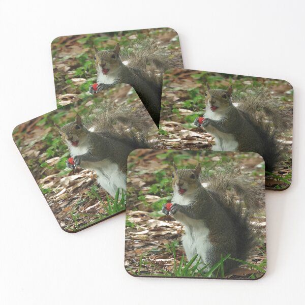 Item preview, Cute Squirrel #0023 designed and sold by Jeffrey Mask.