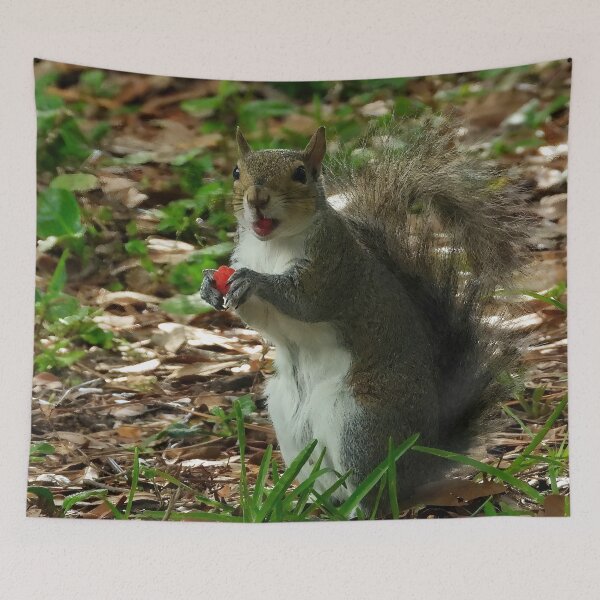 Item preview, Cute Squirrel #0023 designed and sold by Jeffrey Mask.