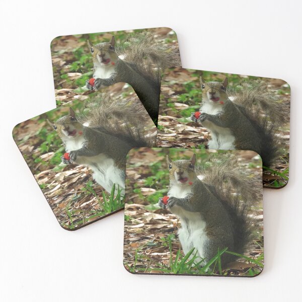 Item preview, Cute Squirrel #0024 designed and sold by Jeffrey Mask.