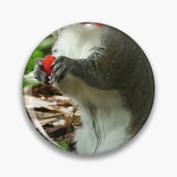 Item preview, Cute Squirrel #0024 designed and sold by Jeffrey Mask.