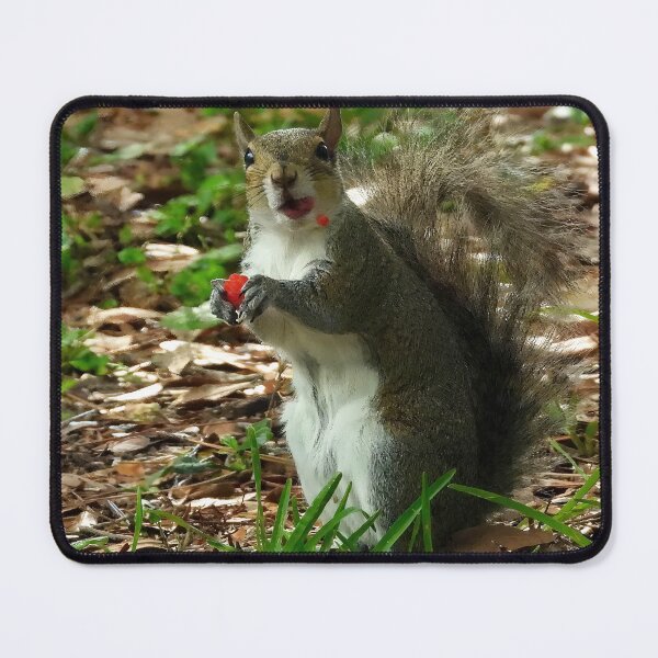 Item preview, Cute Squirrel #0024 designed and sold by Jeffrey Mask.