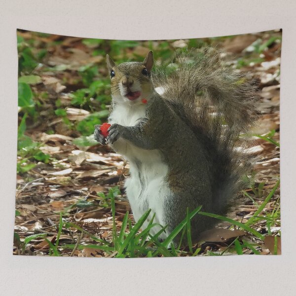 Item preview, Cute Squirrel #0024 designed and sold by Jeffrey Mask.