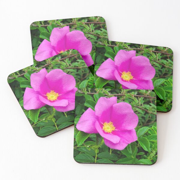 Item preview, Vivid Pink Dog-Rose - Rosa Canina designed and sold by Dorset Girl.