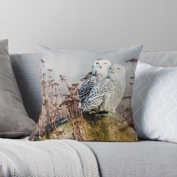 Snowy Owls Throw Pillow