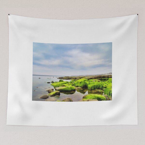 Item preview, Algae Covered Rocks - Lyme Regis Dorset designed and sold by Dorset Girl.