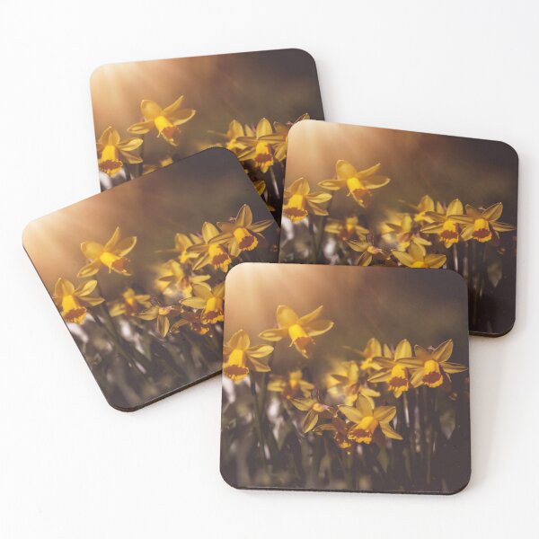 Item preview, Daffodils Sunlight designed and sold by Nigel Finn.