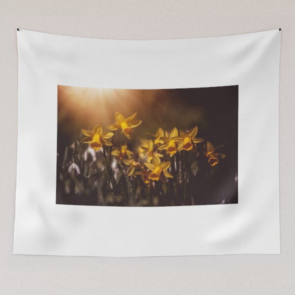 Item preview, Daffodils Sunlight designed and sold by Nigel Finn.