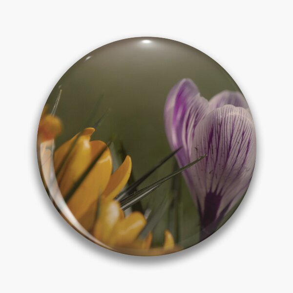 Item preview, Crocus Pocus designed and sold by Nigel Finn.