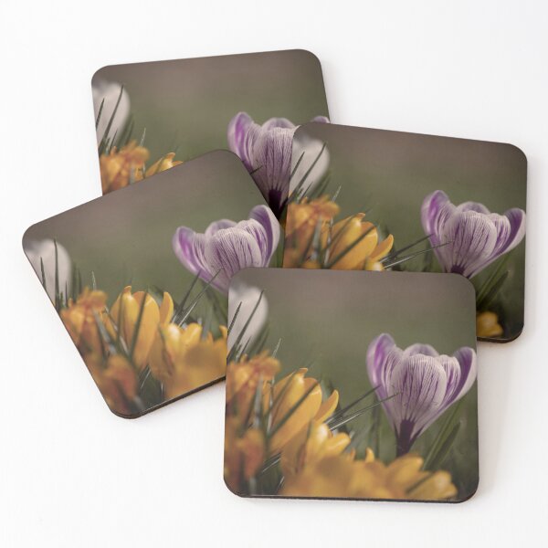 Item preview, Crocus Pocus designed and sold by Nigel Finn.