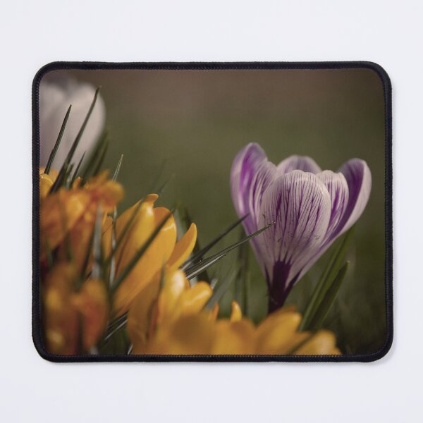 Item preview, Crocus Pocus designed and sold by Nigel Finn.