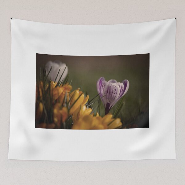 Item preview, Crocus Pocus designed and sold by Nigel Finn.
