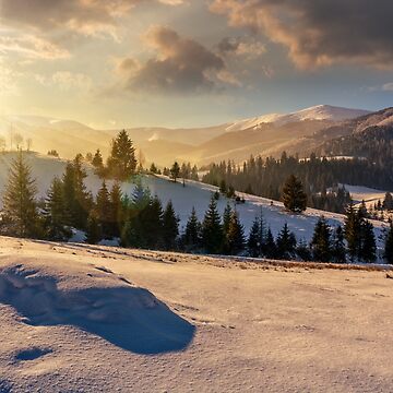Artwork thumbnail, spruce forest on snowy meadow in high mountains at sunset by mike-pellinni