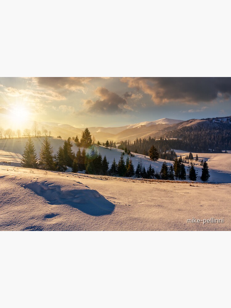 Thumbnail 3 of 3, Sticker, spruce forest on snowy meadow in high mountains at sunset designed and sold by mike-pellinni.